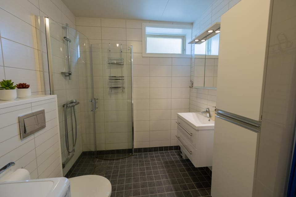 Shower, Toilet, Bathroom, washing machine