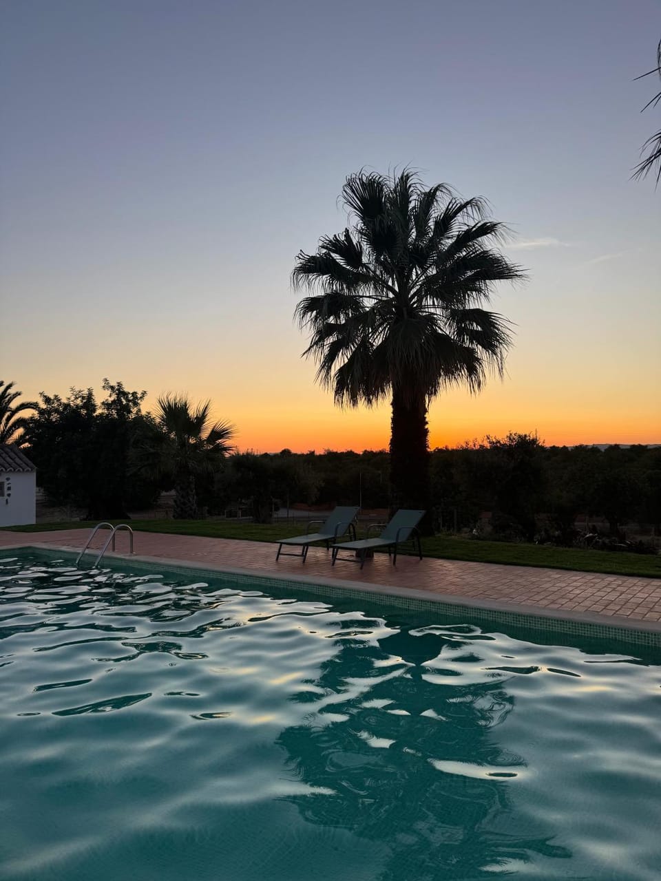 Swimming pool, Sunset, sunbed