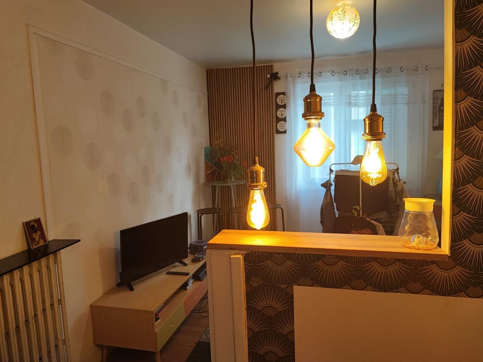 Amboise -Blaise Pascal- jardin Lecocq Apartment in Clermont-Ferrand