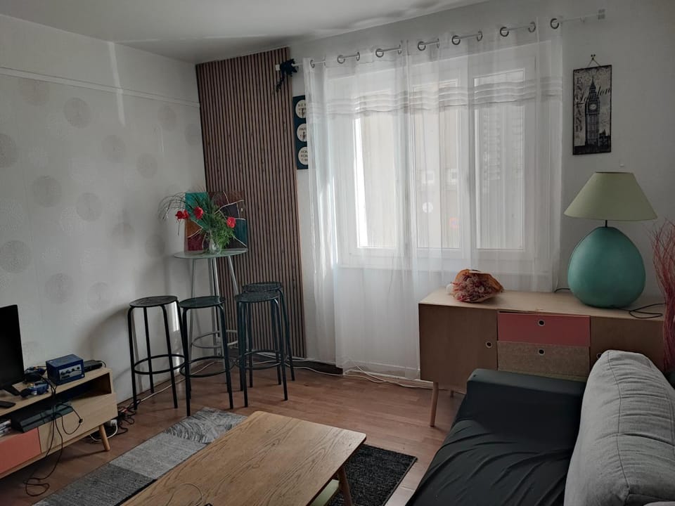 Amboise -Blaise Pascal- jardin Lecocq Apartment in Clermont-Ferrand