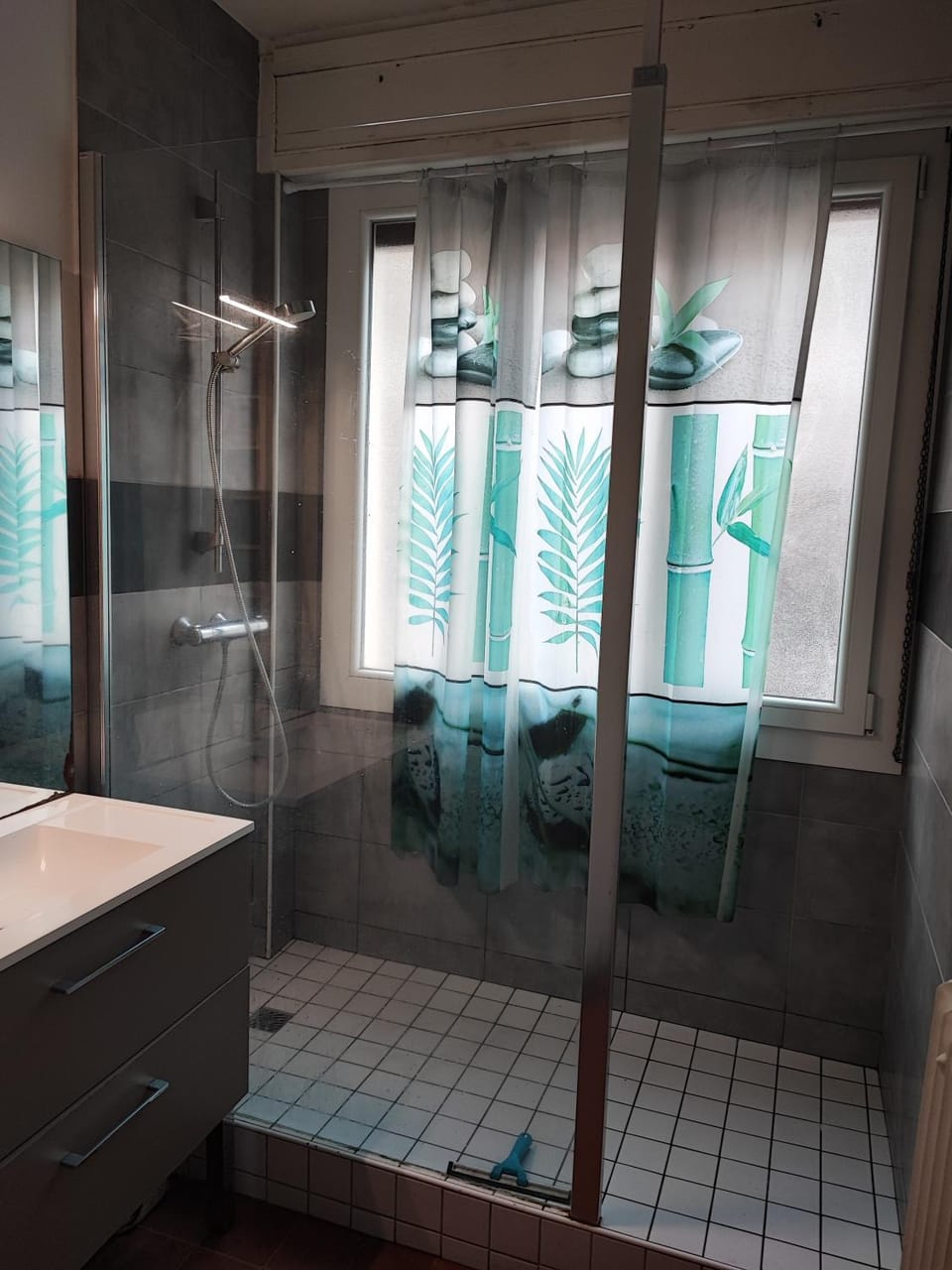 Amboise -Blaise Pascal- jardin Lecocq Apartment in Clermont-Ferrand