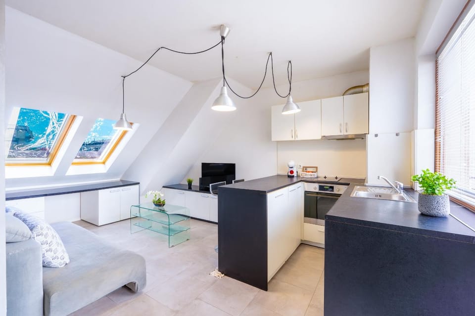 Photo of the whole room, kitchen, kitchen