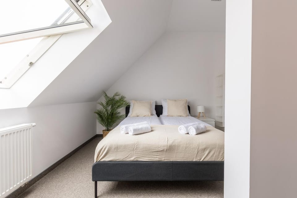 Bed, Photo of the whole room, Bedroom, towels