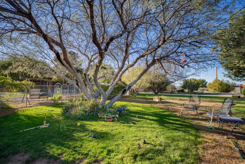 Day, Activities, Garden, Seating area, Sports