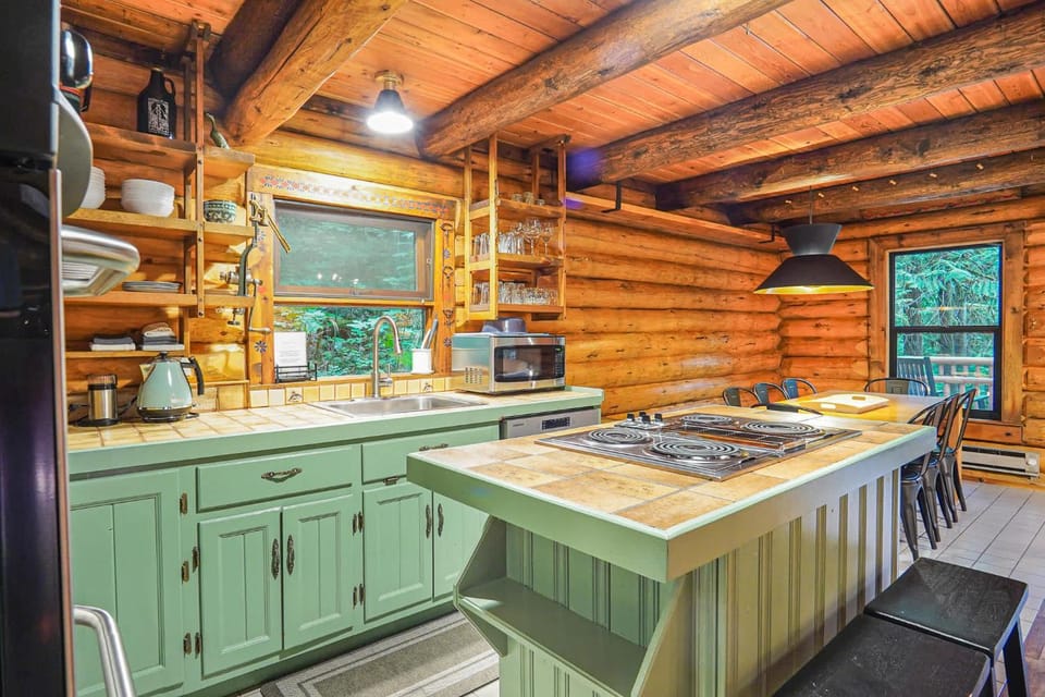 Mt Baker Forest Cabin with BBQ & Firepit Dogs Ok Cabin in Glacier