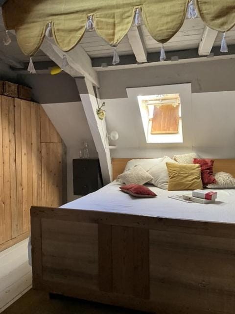 Beautiful Artist Apartment in the Heart of Brussels Apartment in Brussels