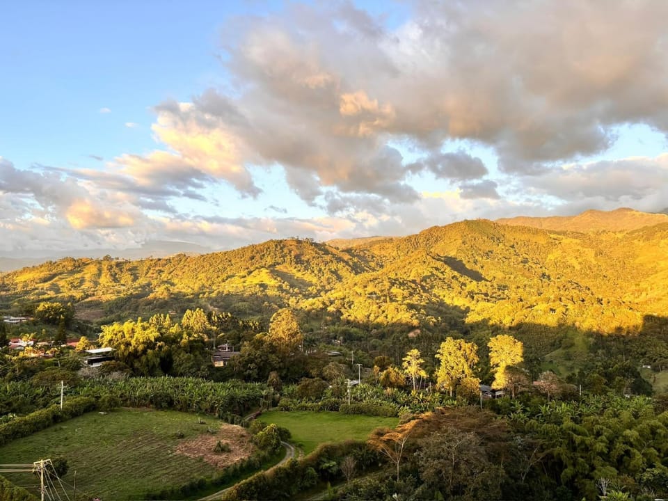 Natural landscape