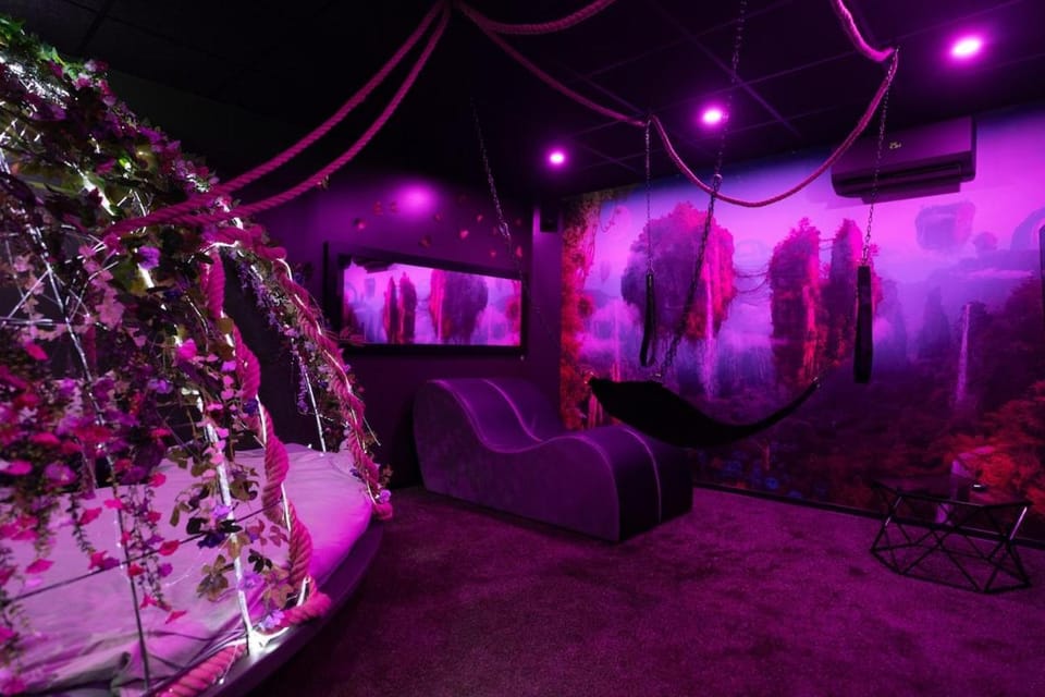 Espace Evasions Loveroom - L'Eden 20h-9h Apartment in Toulouse