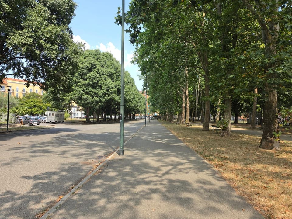 Natural landscape, City view, Street view