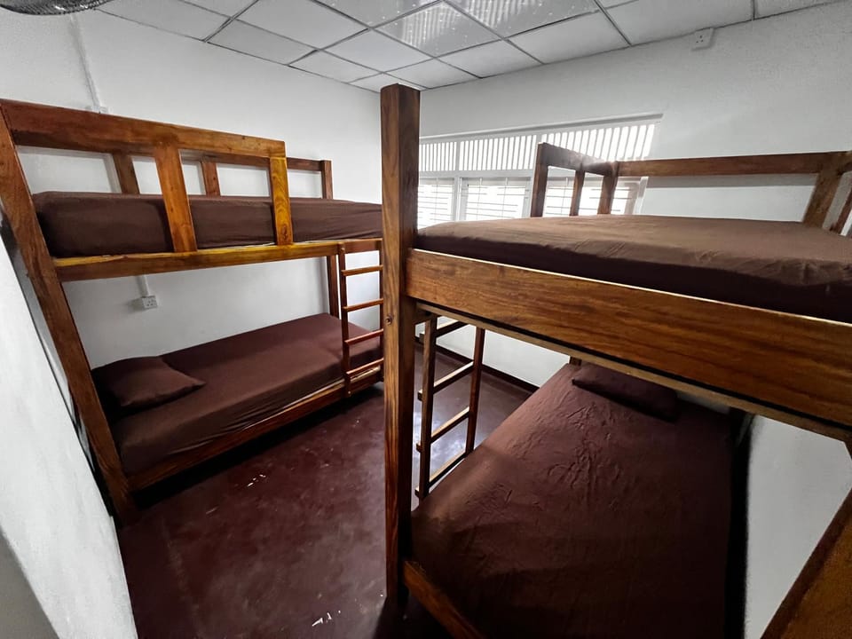 Bed, Photo of the whole room, Bedroom, bunk bed