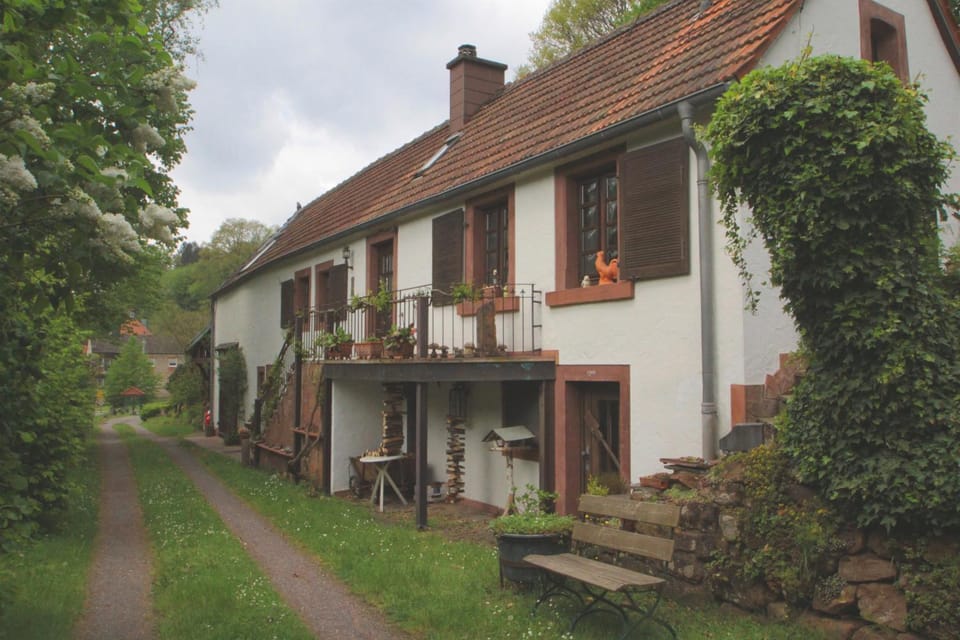 Property building, Day