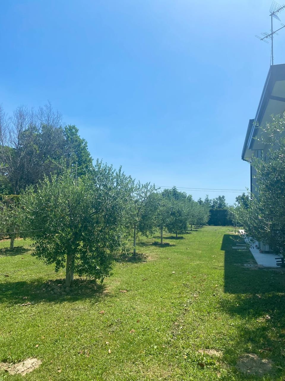 Day, Natural landscape, Garden, Garden view