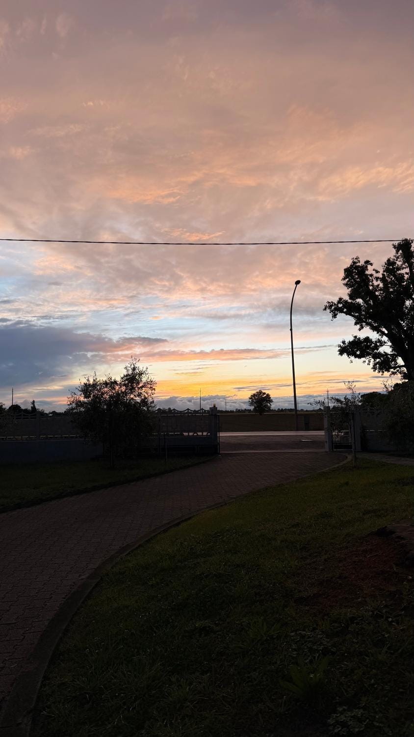 Neighbourhood, Natural landscape, Garden, Sunset
