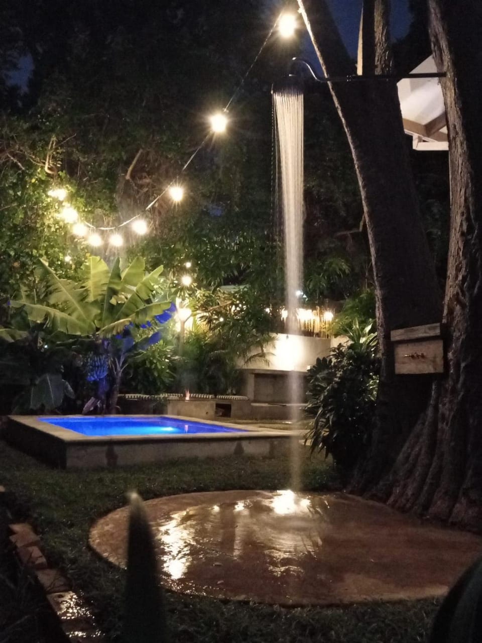 Shower, Night, Garden, Garden view, Pool view, Swimming pool