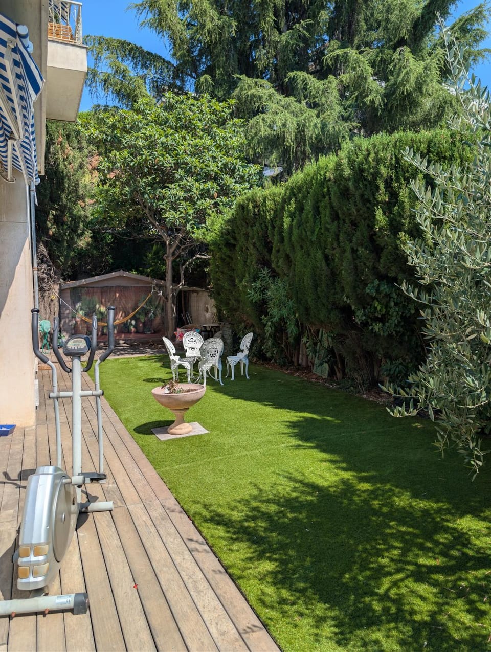 Garden view