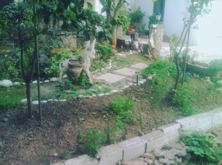 Guest House Mirza Bed and Breakfast in Mostar