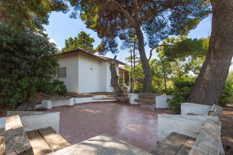 Property building, Garden
