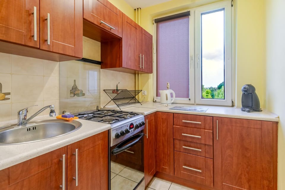 Kitchen or kitchenette, dishwasher, stove