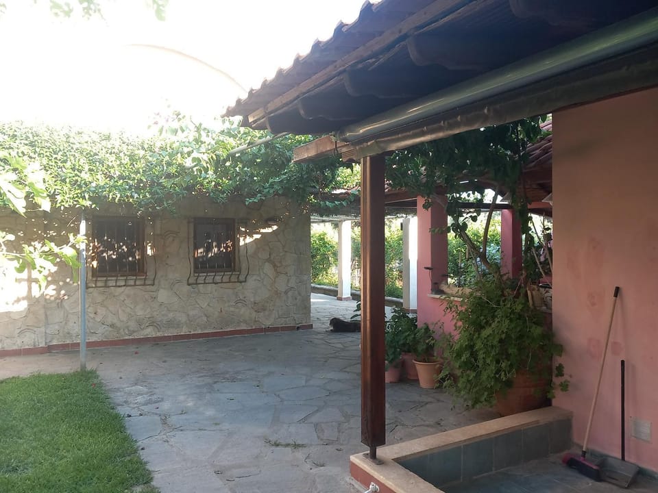 Property building, Patio, Day, Garden, Garden view