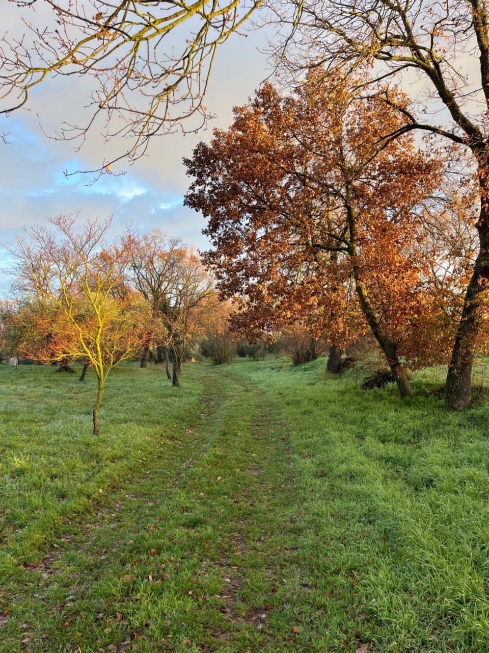 B&B Notti di stelle Bed and Breakfast in Lazio