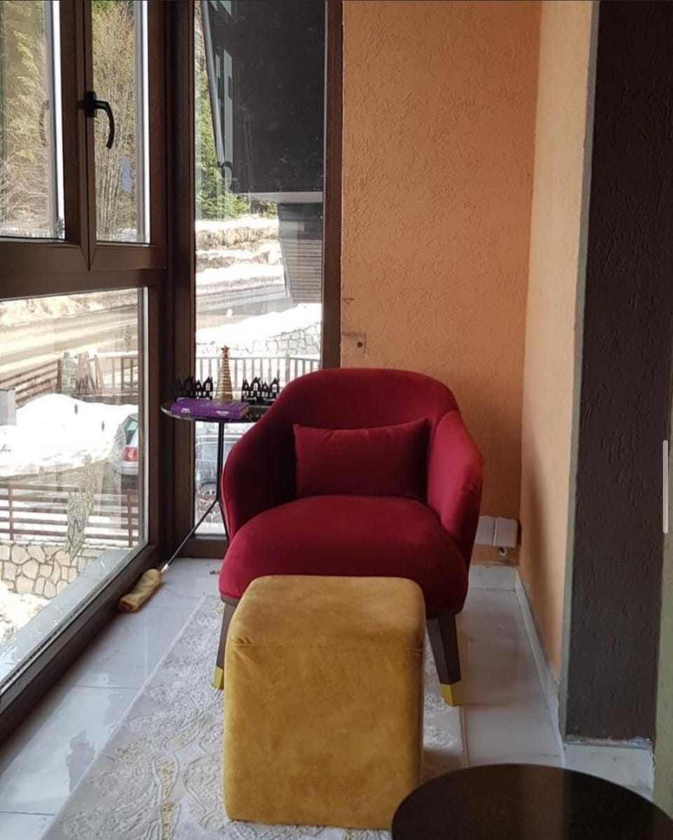 Vila Tiha Noć Apartment in Serbia
