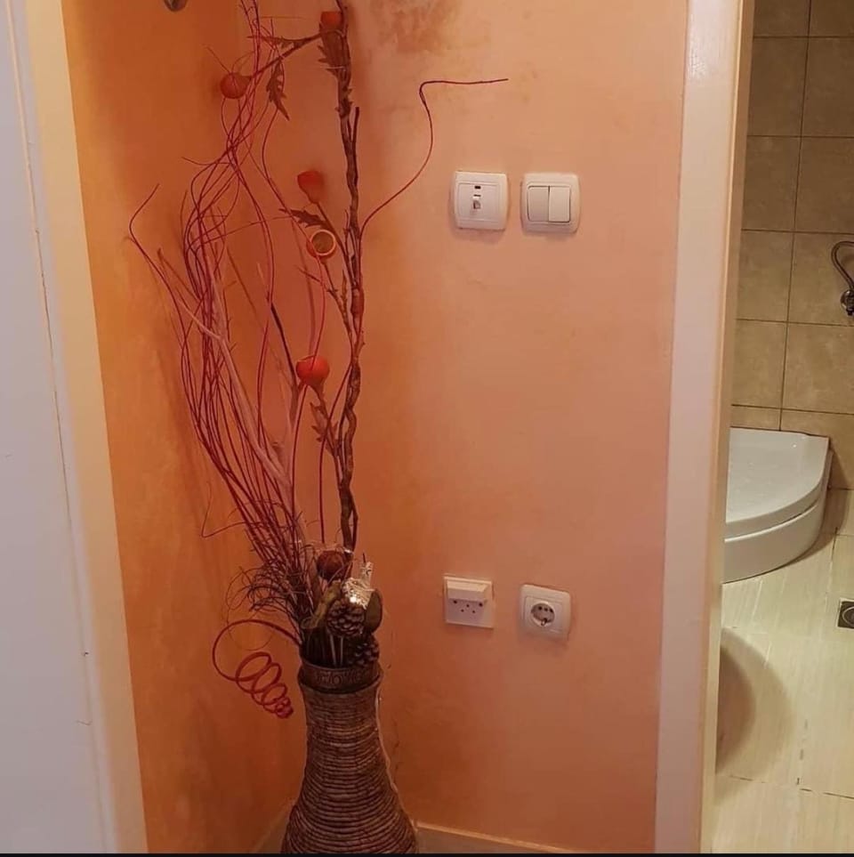 Vila Tiha Noć Apartment in Serbia