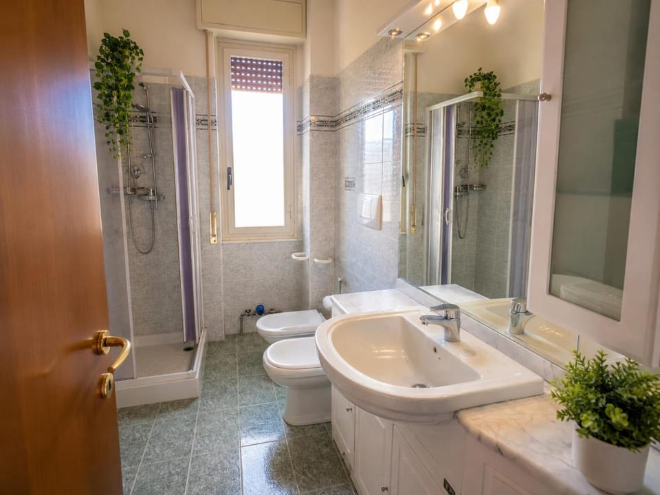 Shower, Toilet, Bathroom, bidet