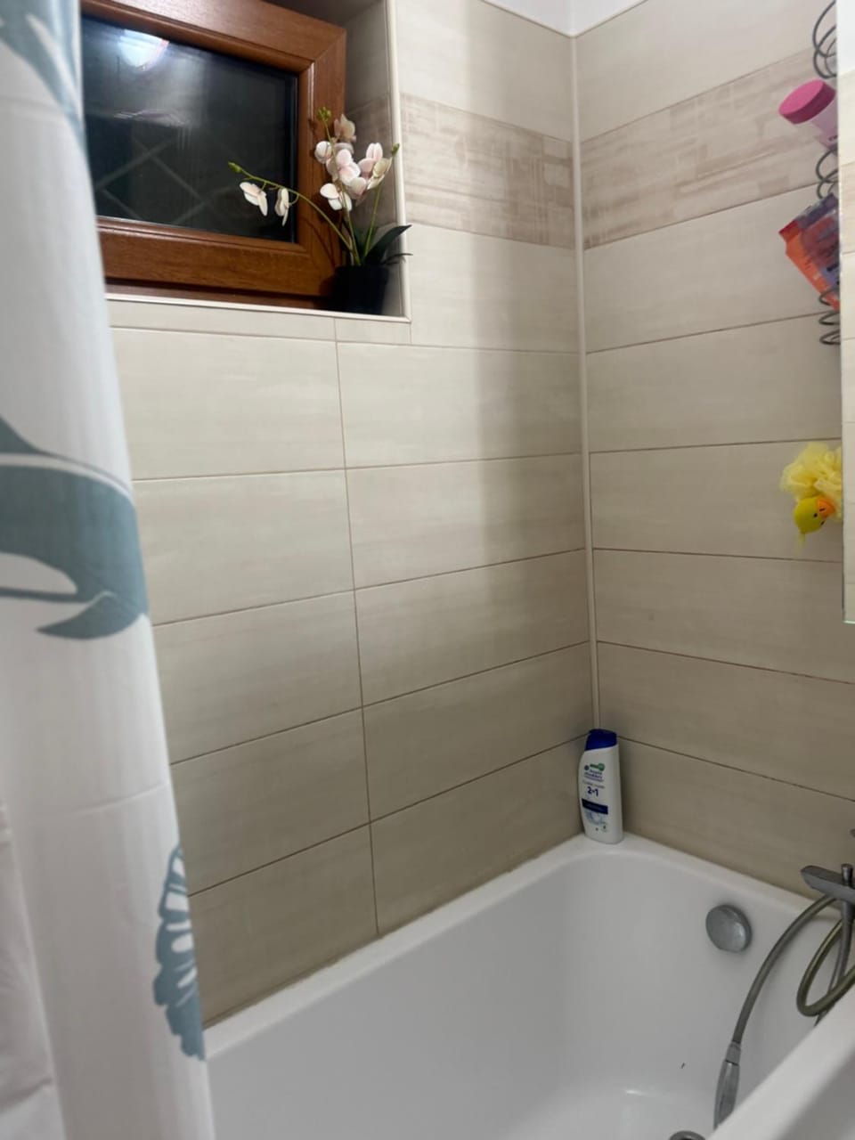 Mady Apartment in Eforie Nord
