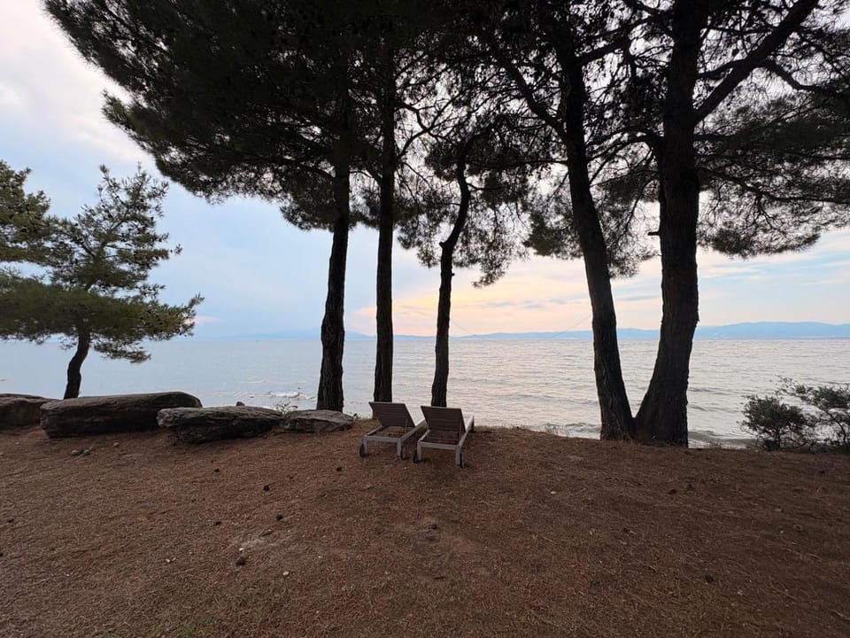 Viasol Suites Thassos Apartment in Thasos
