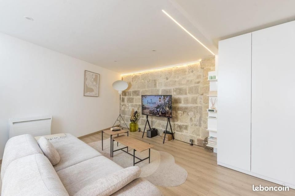 Montpellier Central Loft Apartment in Montpellier
