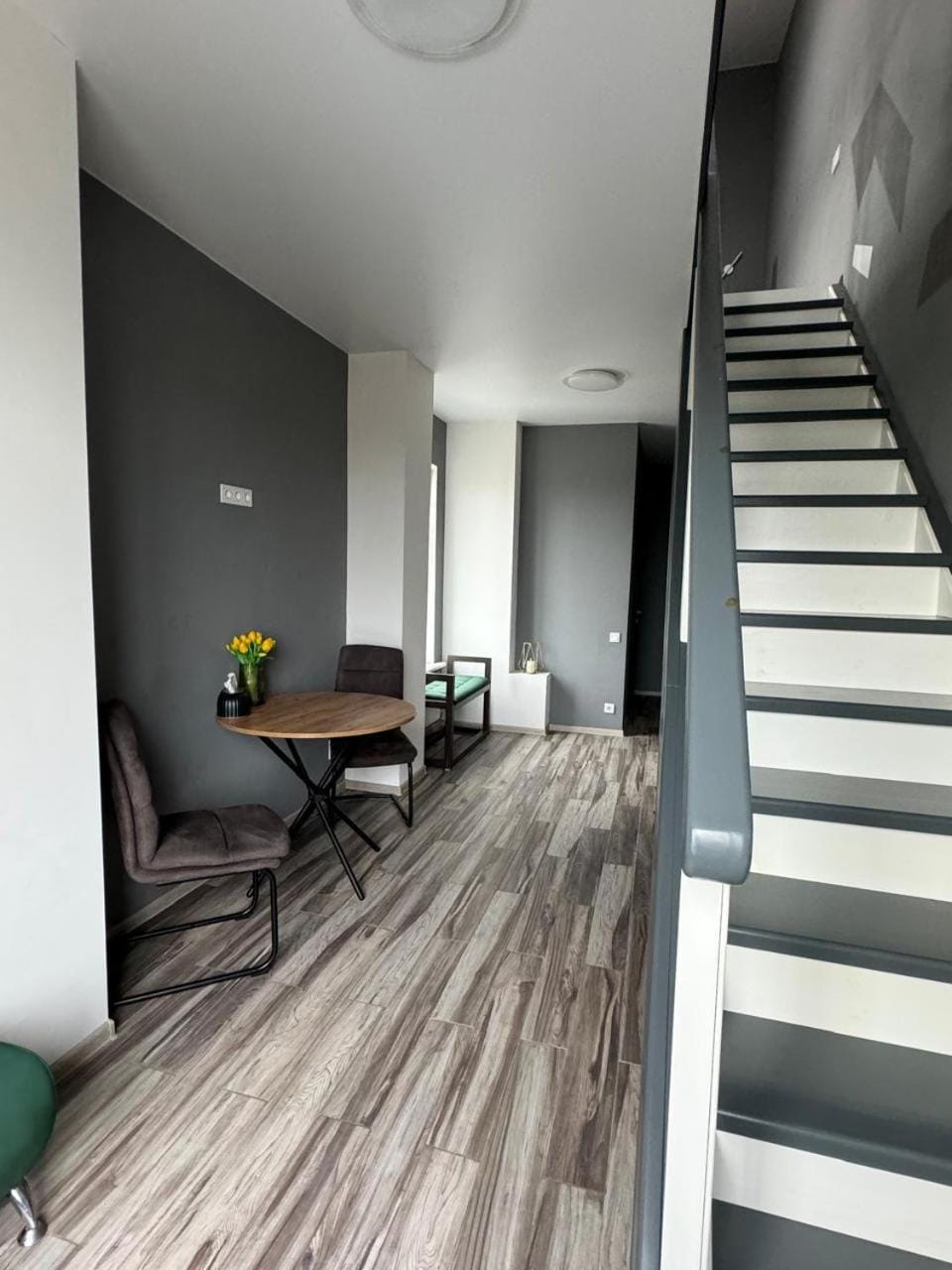 Апартаменты в центре Харькова видовые Apartment in Kharkiv
