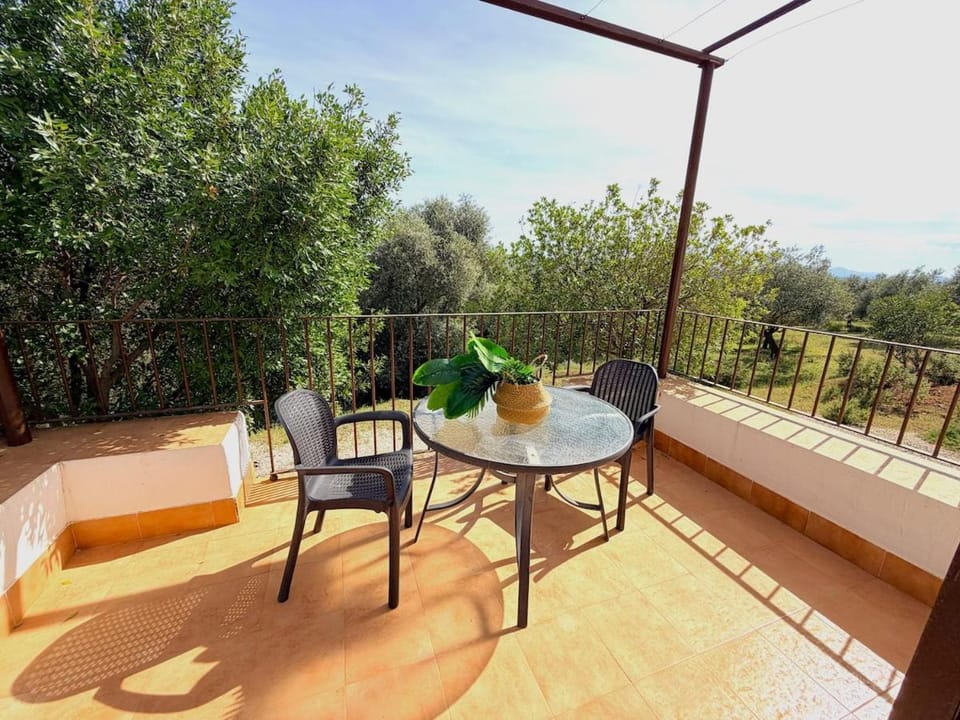 Evans Realty DD - Tempranillo - Piscina & Padel House in Andalusia