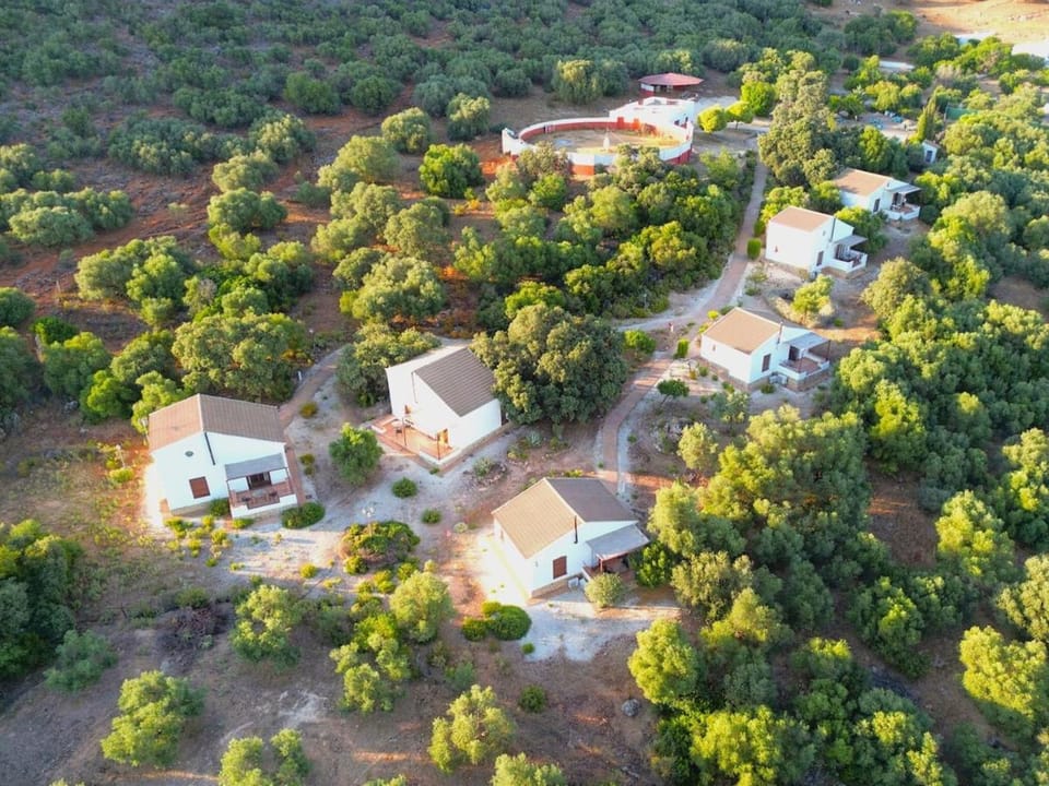 Evans Realty DE - Vivillo - Piscina & Padel House in Andalusia