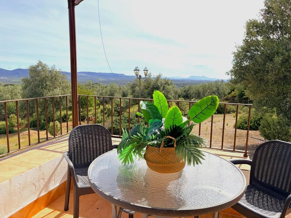 Evans Realty DE - Vivillo - Piscina & Padel House in Andalusia