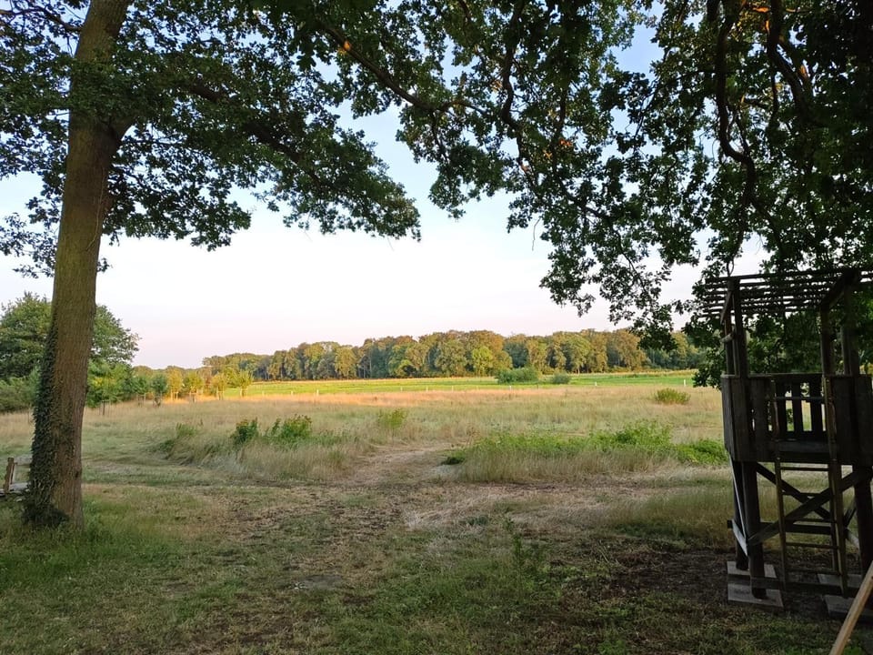 Natural landscape