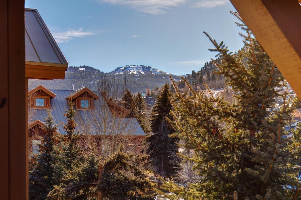 Day, Neighbourhood, Natural landscape, Winter, View (from property/room), Mountain view