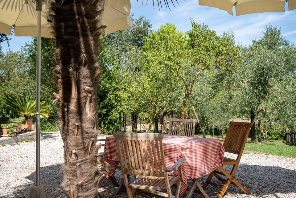 Patio, Natural landscape, Garden, Dining area, Garden view, Swimming pool