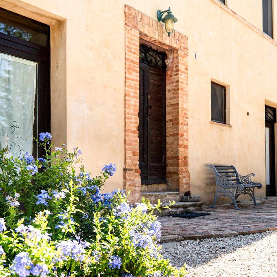 Property building, Garden, Garden view