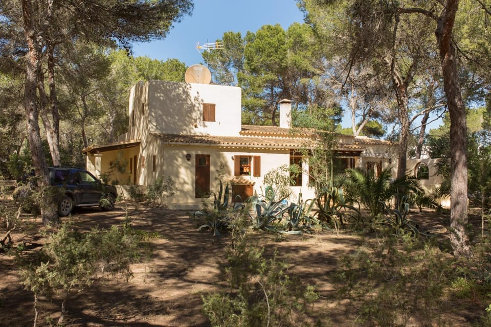 Property building, Garden