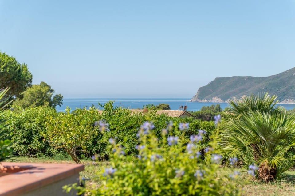 Appartamenti Azienda Agricola - Goelba Apartment in Lacona