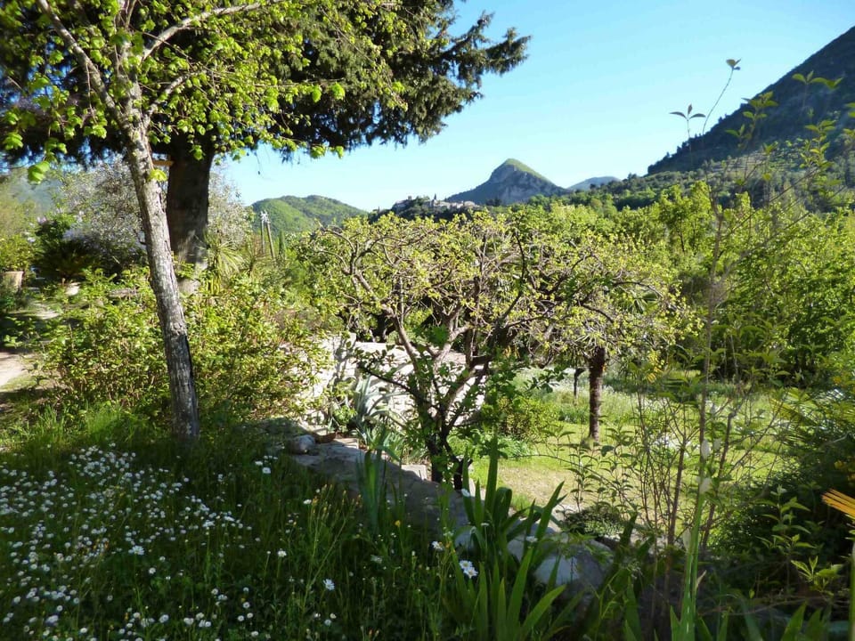 Natural landscape
