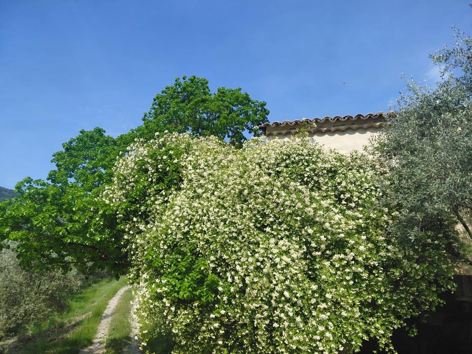 La Maisonnette Veyronne - Gîte neuf House in Provence