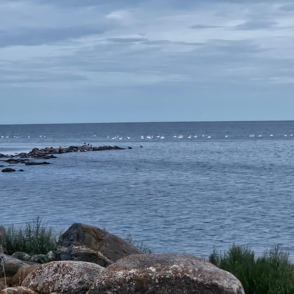 Sea view