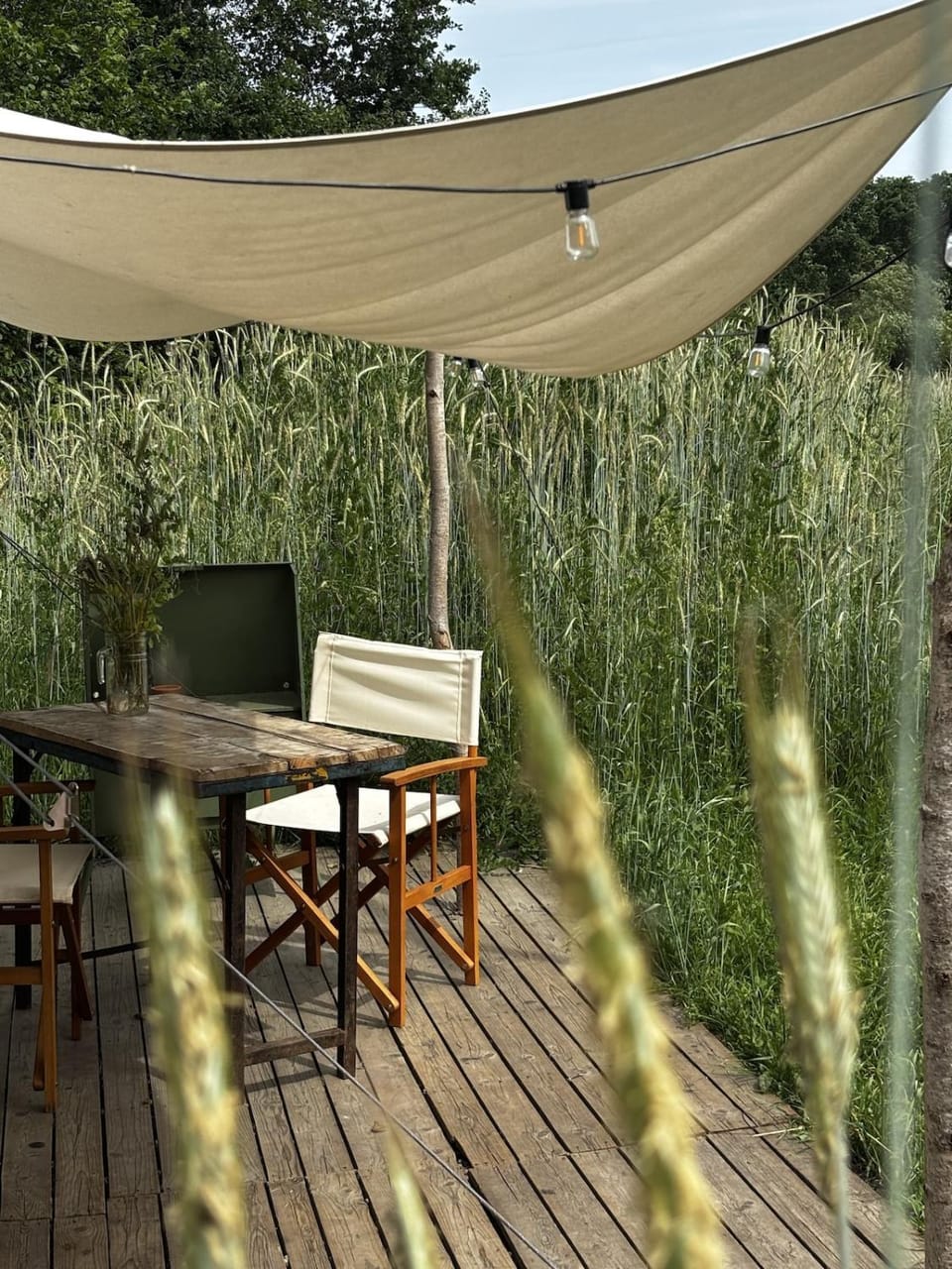 Dining area, Garden view