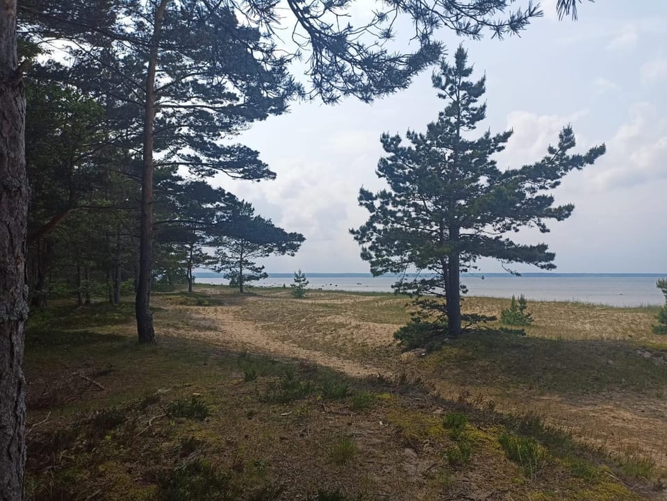 Spacious Apartment in Loksa Near The Sea Apartment in Harju County, Estonia