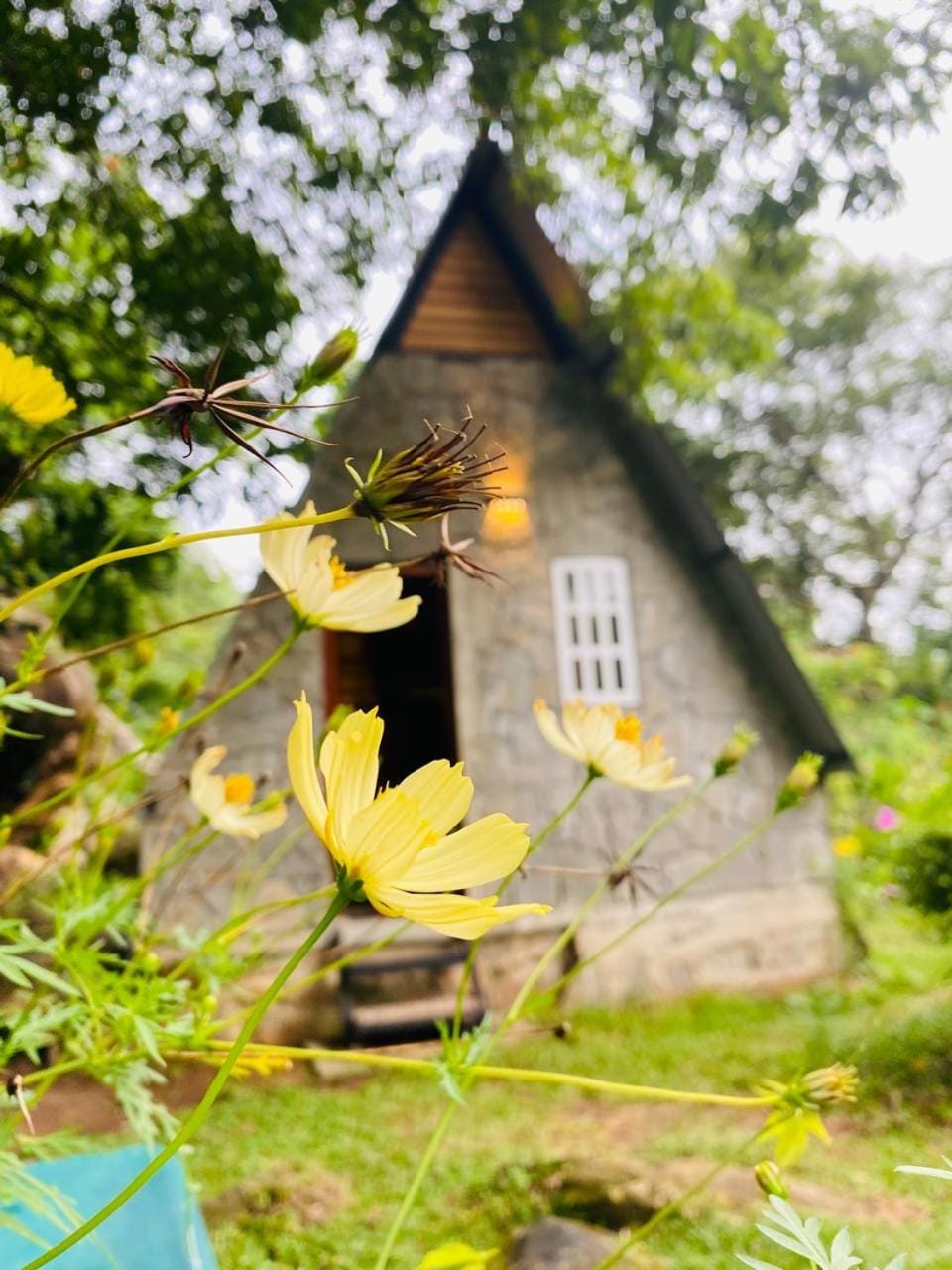 Saruketha Cabana Luxury tent in Sri Lanka