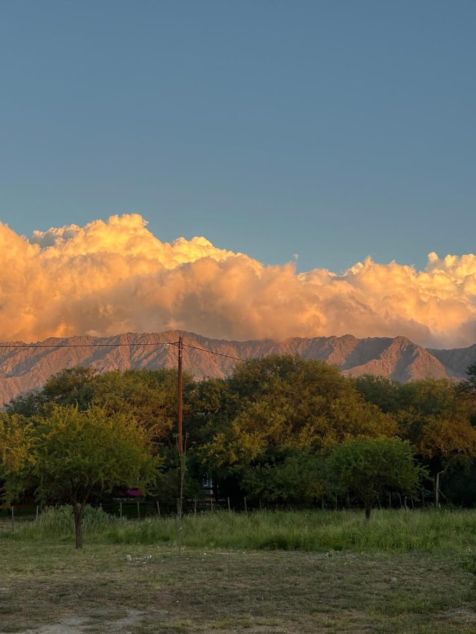 Garden, Mountain view, Mountain view