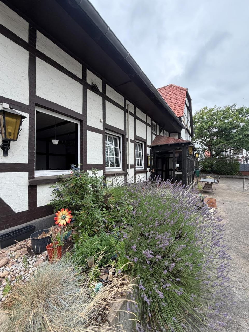 Property building, Garden, Garden view