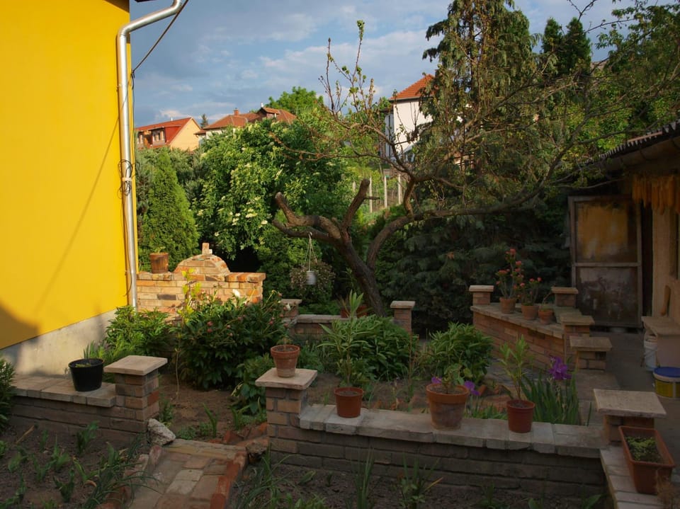 Property building, Summer, Garden, Other, On site