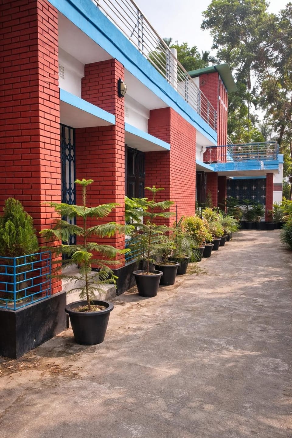 Property building, Day